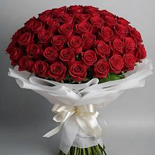 Букет 101 Красная роза Блэк Мэджик в Ковернино
