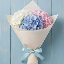 Букет цветов из:  Гортензия в Ковернино