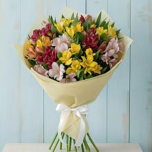 Букет цветов из:  Альстромерии #REPLACE_PRED# Ковернино