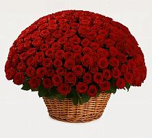 Премиум букет из: Розы в Ковернино