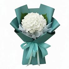 Букет цветов из:  Гортензия в Ковернино